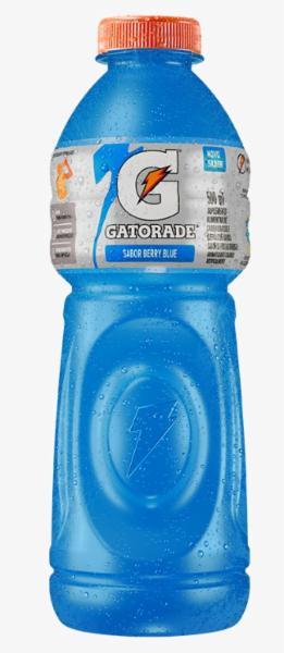 imagem de GATORADE BERRY BLUE 500ML