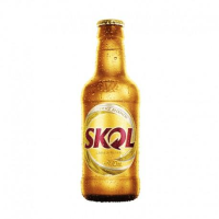imagem de Litrinho Skol 300Ml