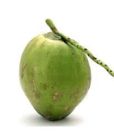 imagem de COCO VERDE UNID