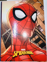 imagem de CAD SPIDER MAN 80FLS