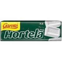 imagem de Pastilha Garoto 17G Hortela