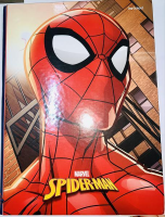 imagem de CAD SPIDER MAN 80 FLS